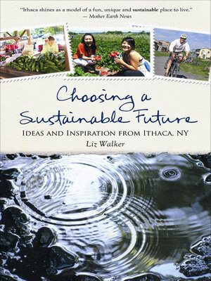 cover image of Choosing a Sustainable Future